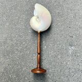 Large pearly Nautilus shell on turned wooden base, old vintage cabinet of curiosities