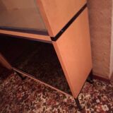 ARP Minvielle book display case