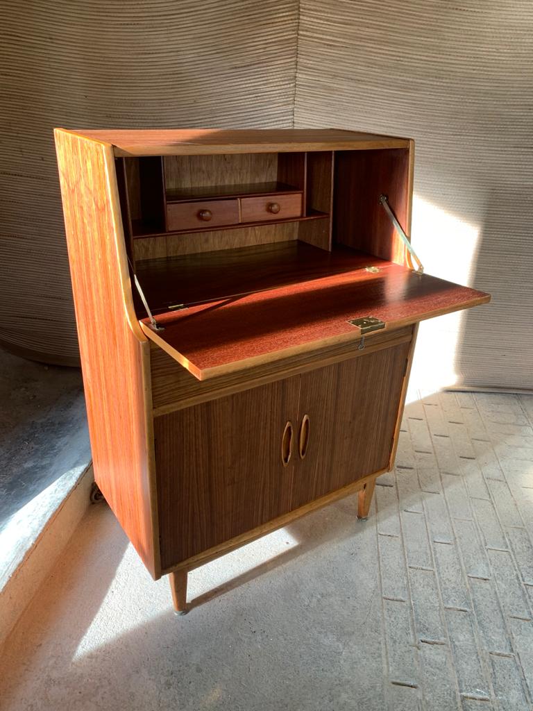 Scandinavian Secretary 1960