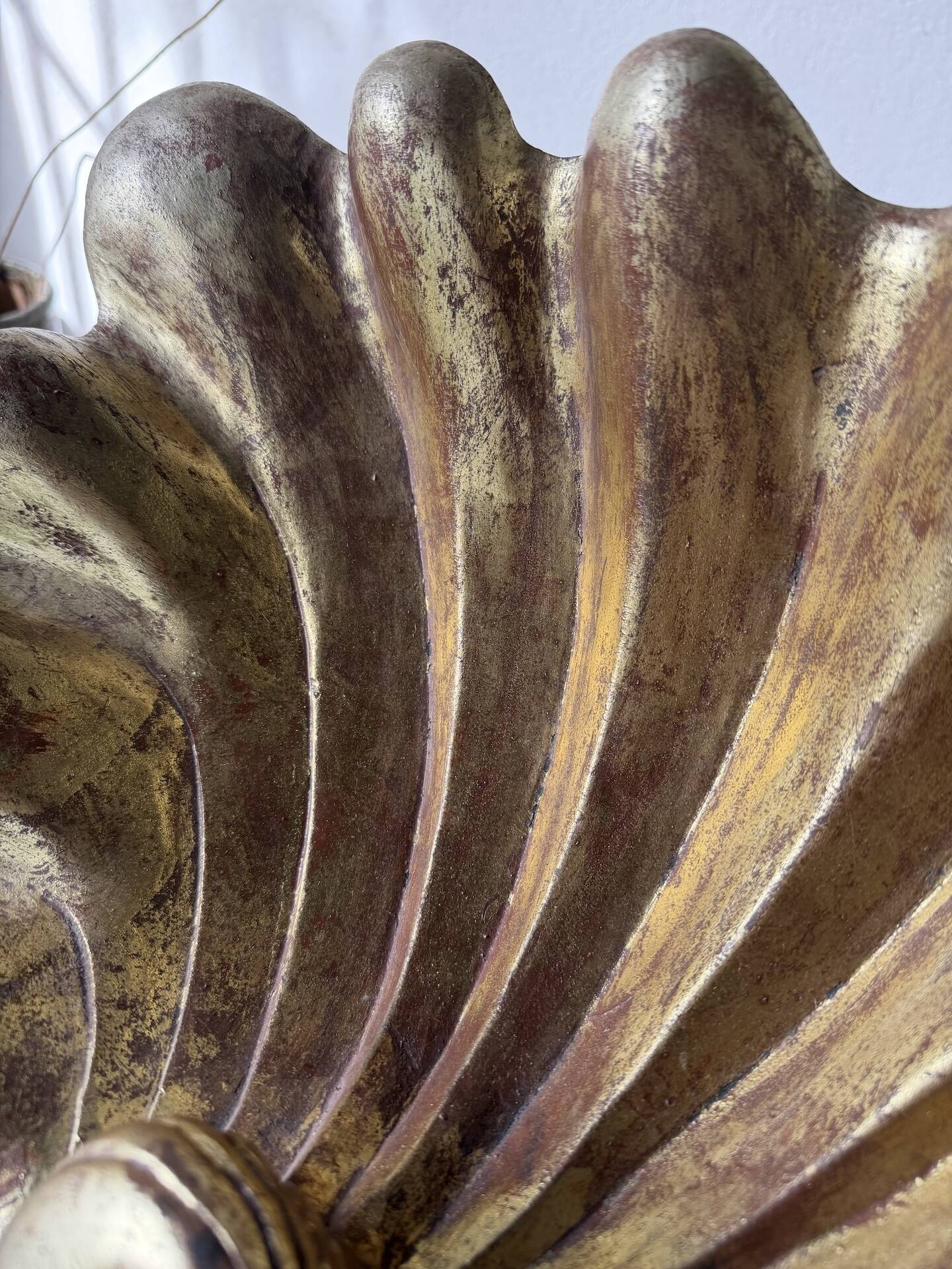 Immense wooden plate 1900 shell with golden patina