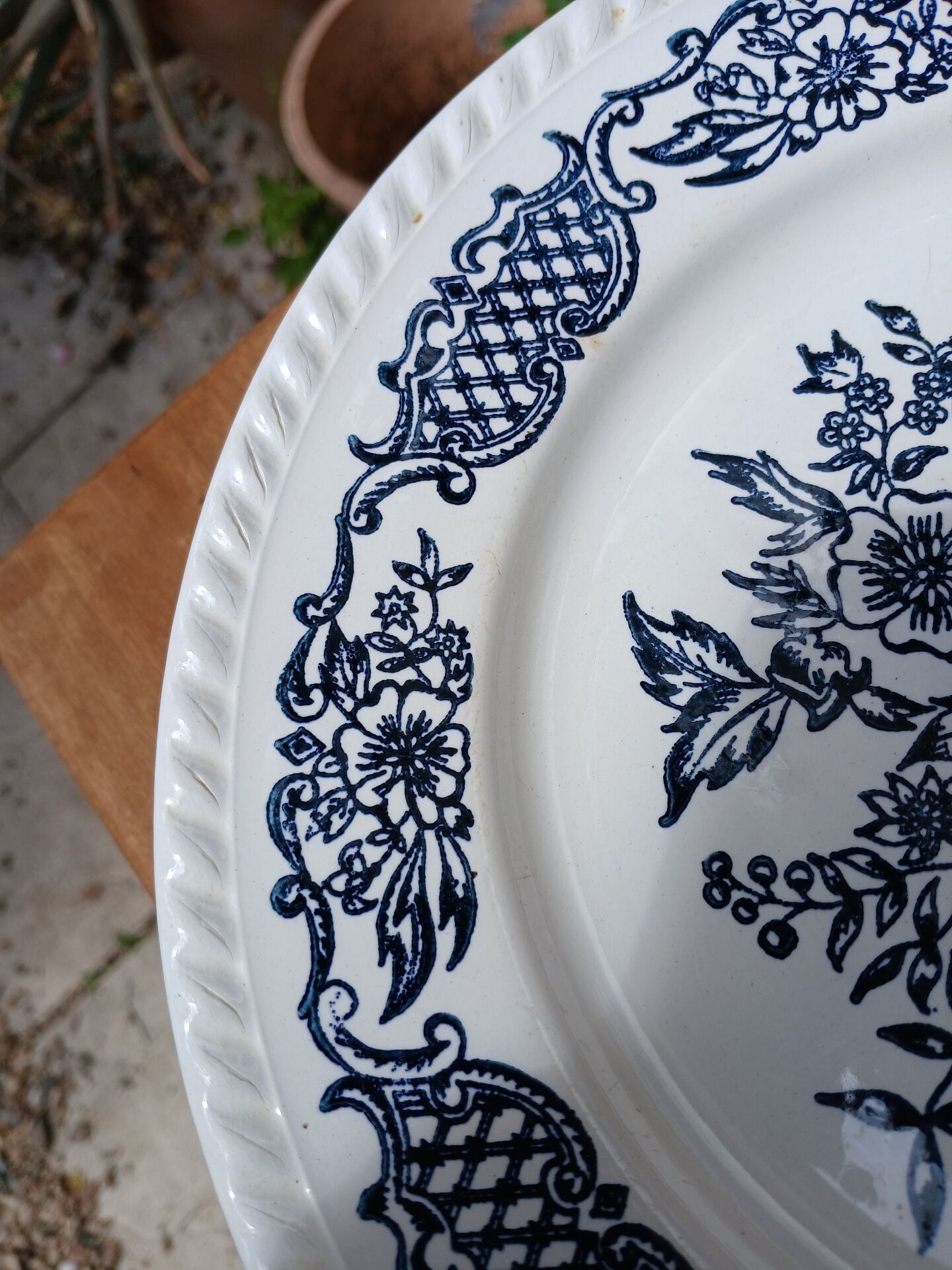 6 antique dinner plates