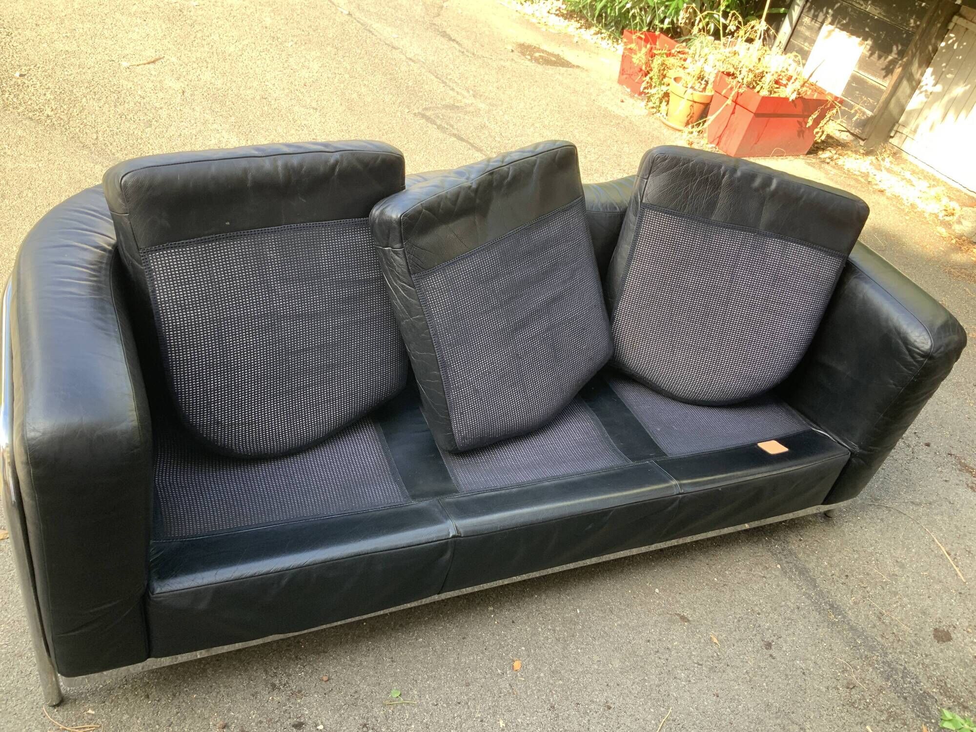 Zanotta sofa