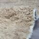 Contemporary Beige Rug - 297 x 253 cm
