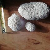 Lot of corals