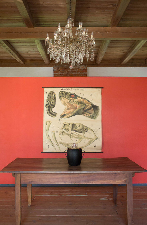 Poster of the 20th century Paul Pfurtscheller Zoological "Viper"