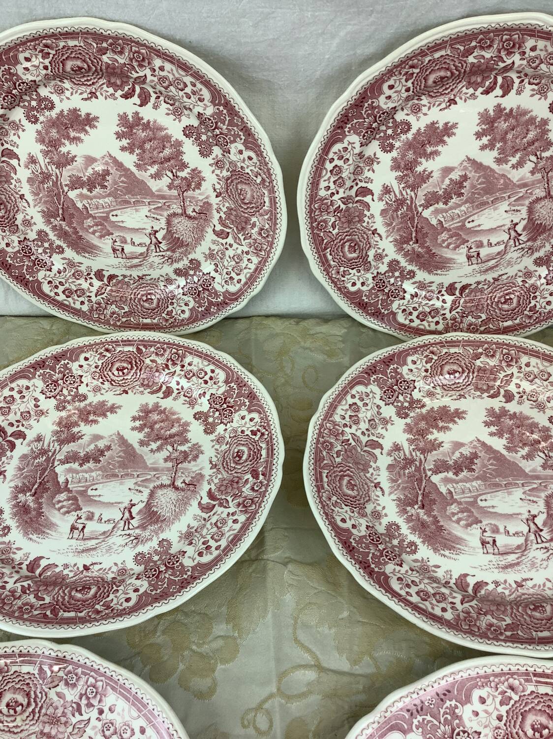 6 Villeroy and Boch Dinner Plates