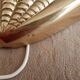 Pairs of wall light seashells