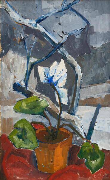 Original Swedish oil on canvas – “Winter Cyclamen” by Majken Bergvin (1922–2012) – 1965 – vintage & framed – 62 × 43 cm