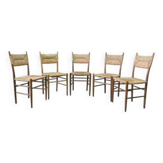 Mid-century italian dining chairs, 1950s, set of 5