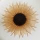 Plat tournesol en verre moulé pressé circa 1960