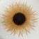 Pressed glass sunflower plate circa 1960