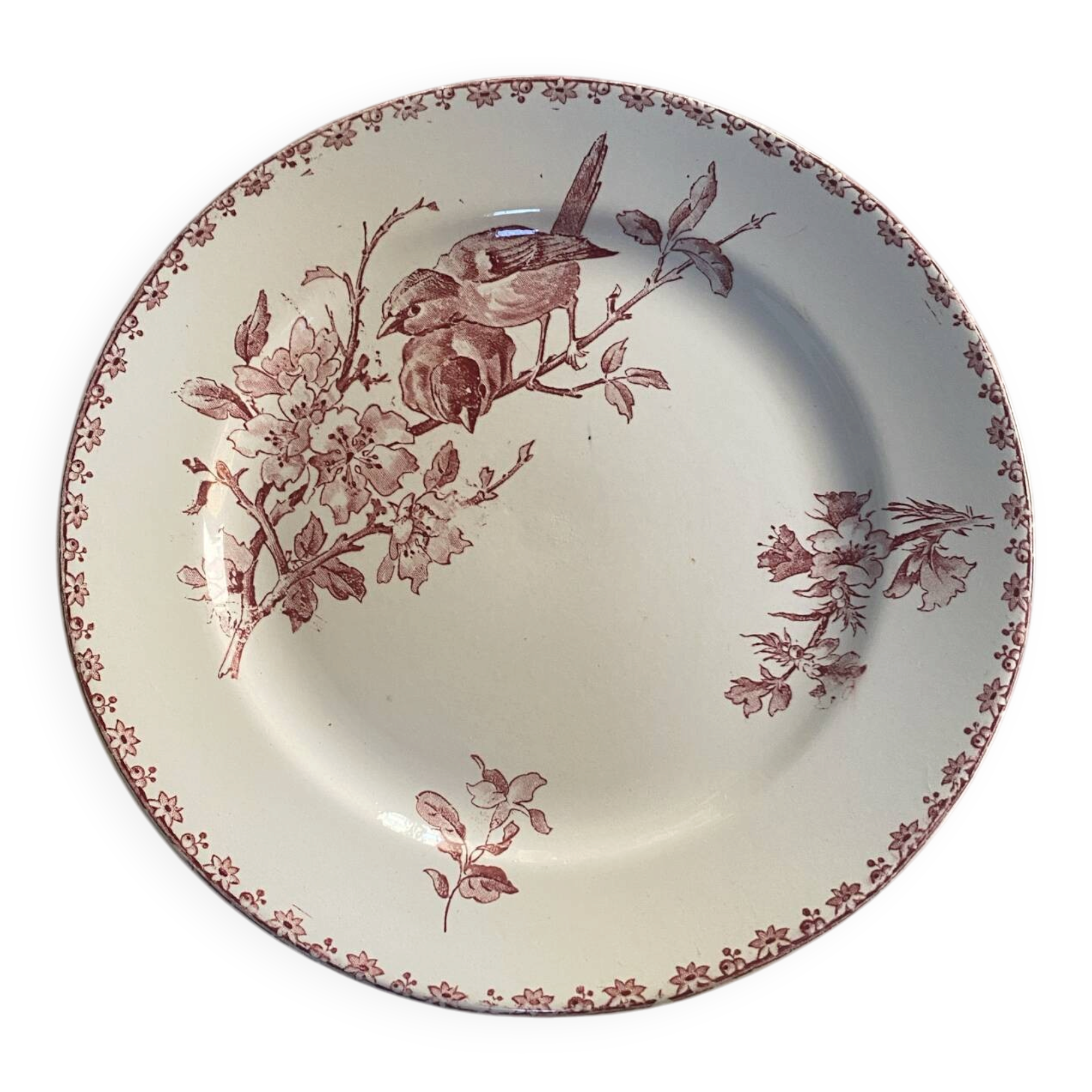 Flat plate model Favourite from Sarreguemines