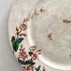 Round polychrome ironstone platter "Nella" by Jules Vieillard, Bordeaux