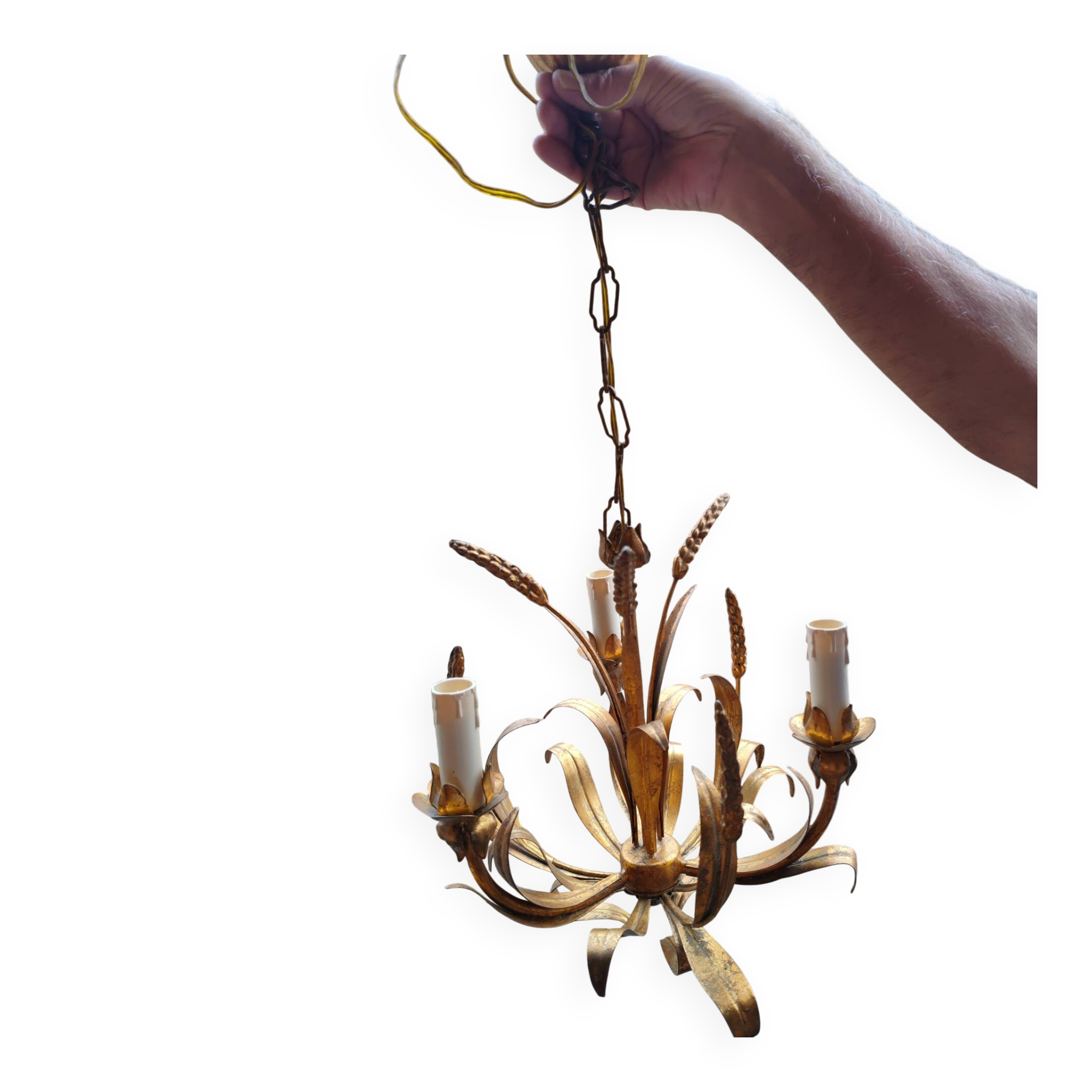 Golden lustre