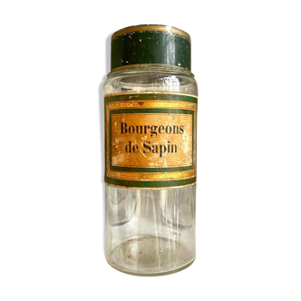 Fir buds apothecary jar in transparent glass and green metal