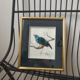 Framing a blue bird in feathers and painting