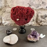 Antique red coral organ Tubipora musica on a wooden base, late 19th century