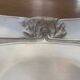 Art Nouveau Bread Basket Silver-Plated Metal Gallia Christofle