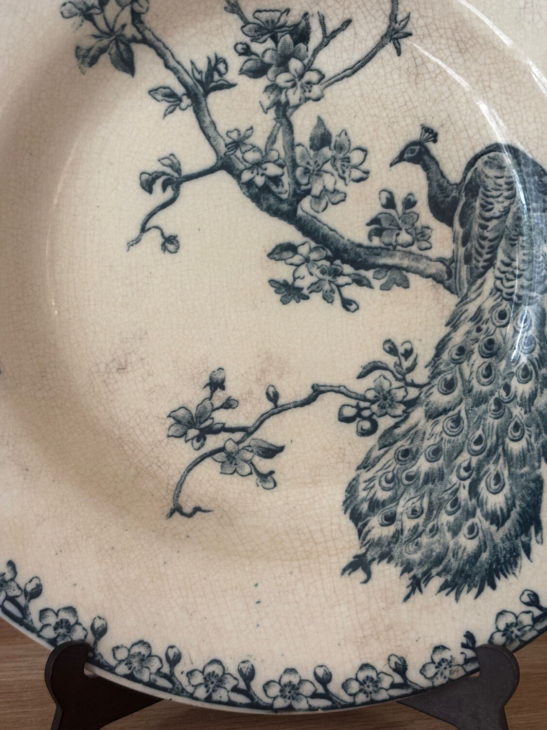 Old hollow plate Gien Terre de Fer Peafowl