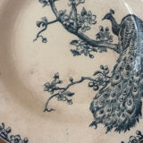 Old hollow plate Gien Terre de Fer Peafowl