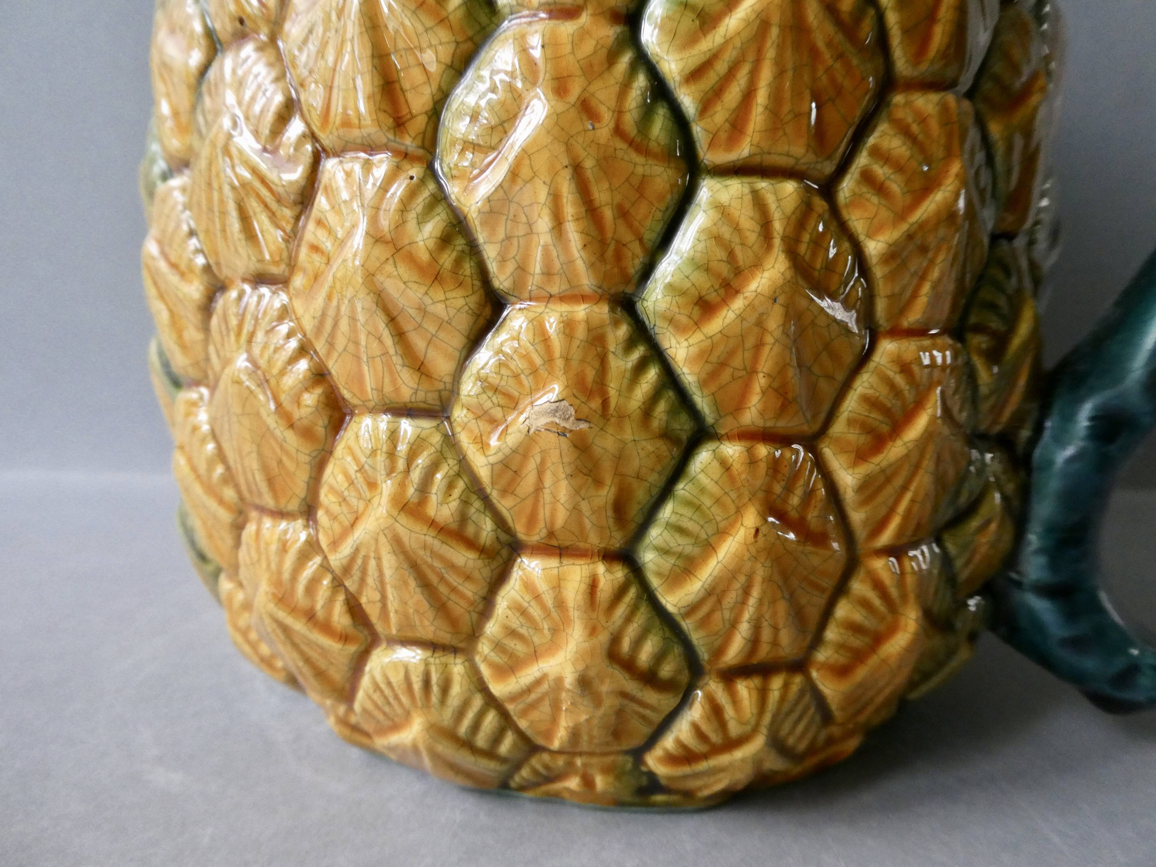 Pineapple pitcher in dabbling