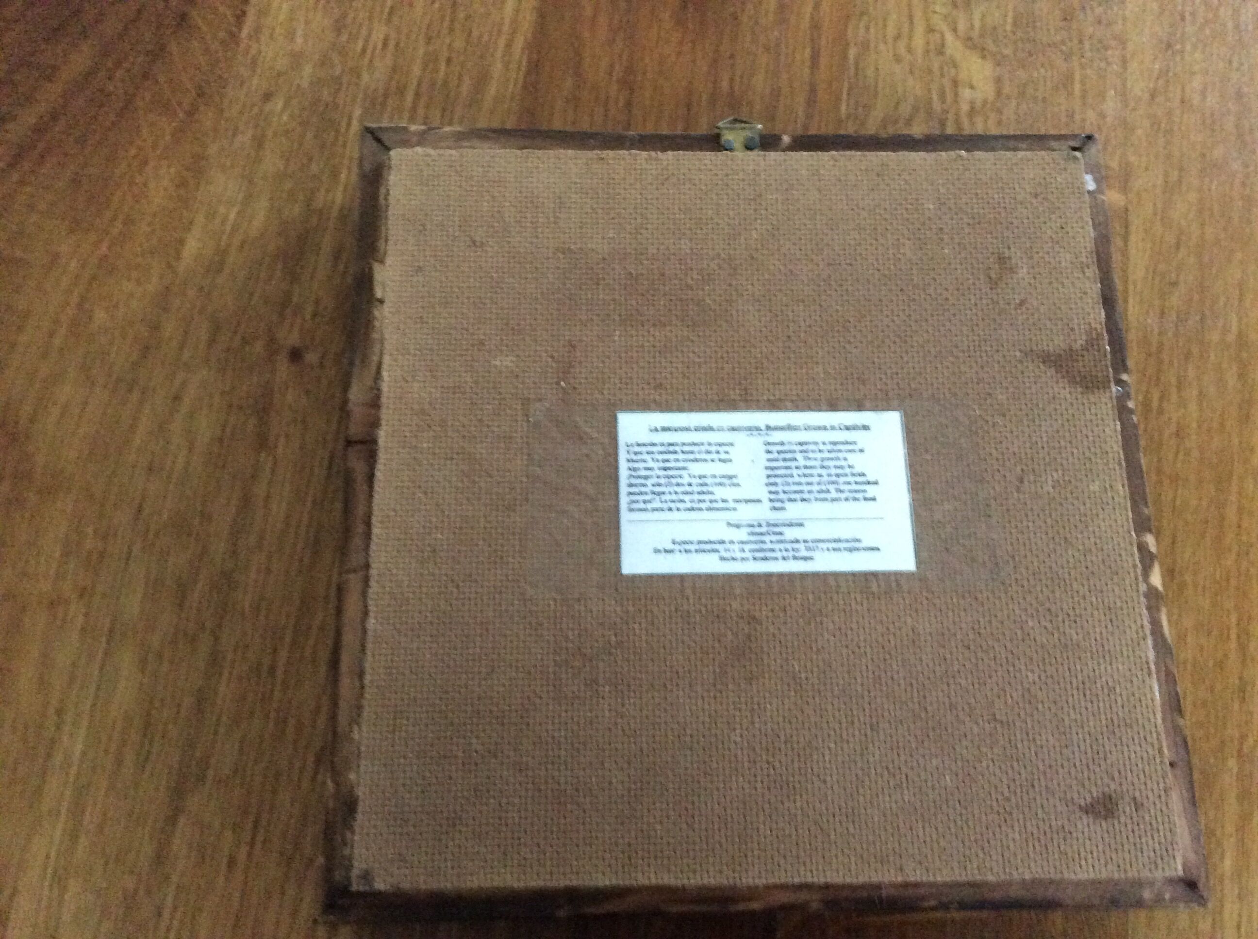 Naturalized butterfly frame