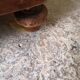 Commode ancienne bois plus plaquage