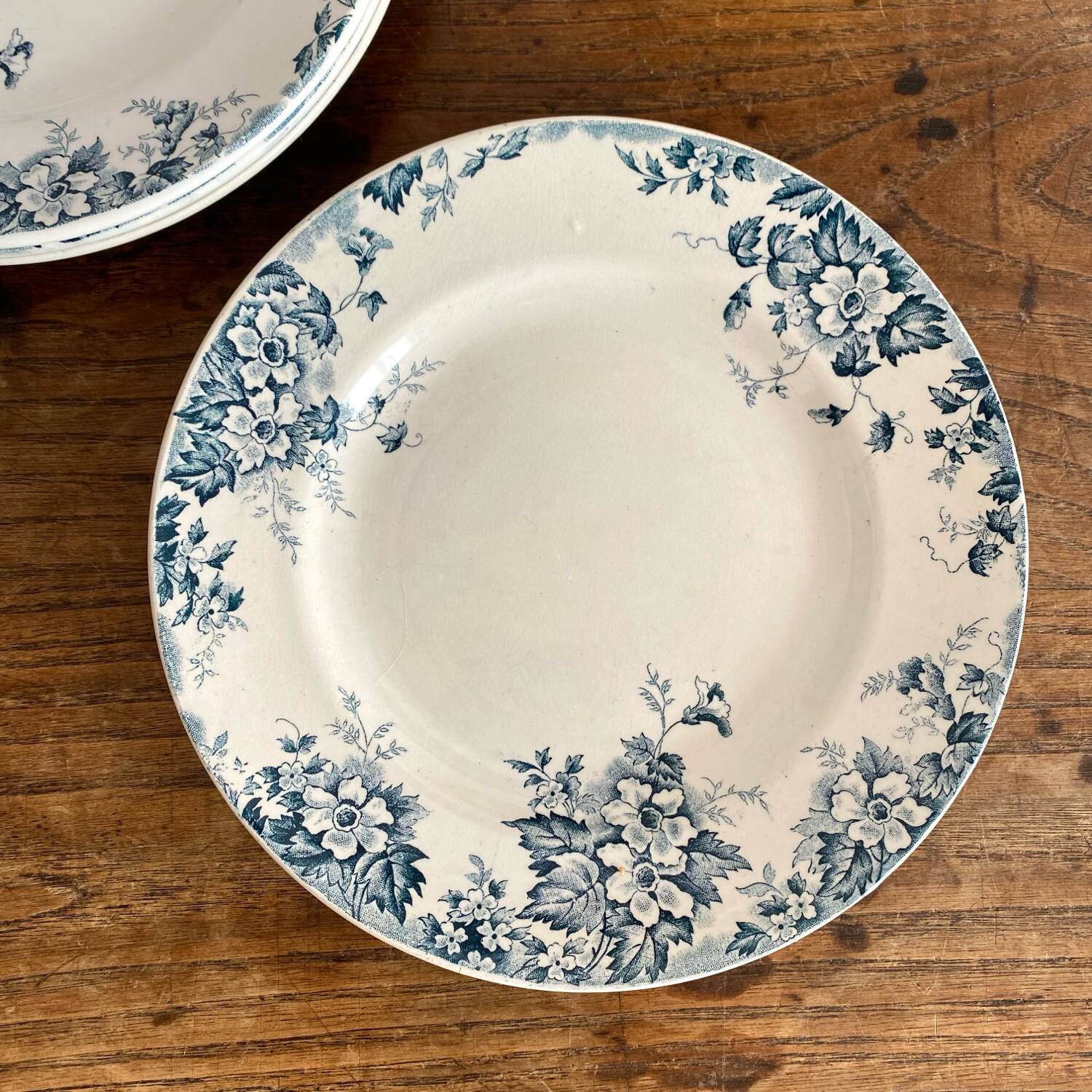 Flat plates made of St Amand Marie-Louise ironstone.