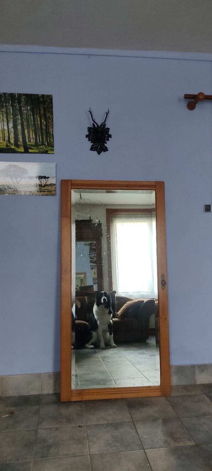 Nice mirror on pine structure 80x160cm