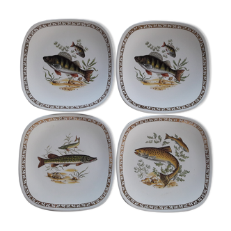 Lot 6 assiettes carrée Longchamp poissons de rivière arrondi bordure dorée brochet carpe perche