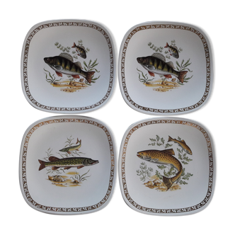 Lot 6 plates square Longchamp river fish rounded border golden pike carp perch