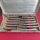 Set of 12 small knives in silver metal and stainless steel from the Ravinet d'Enfer Paris brand
