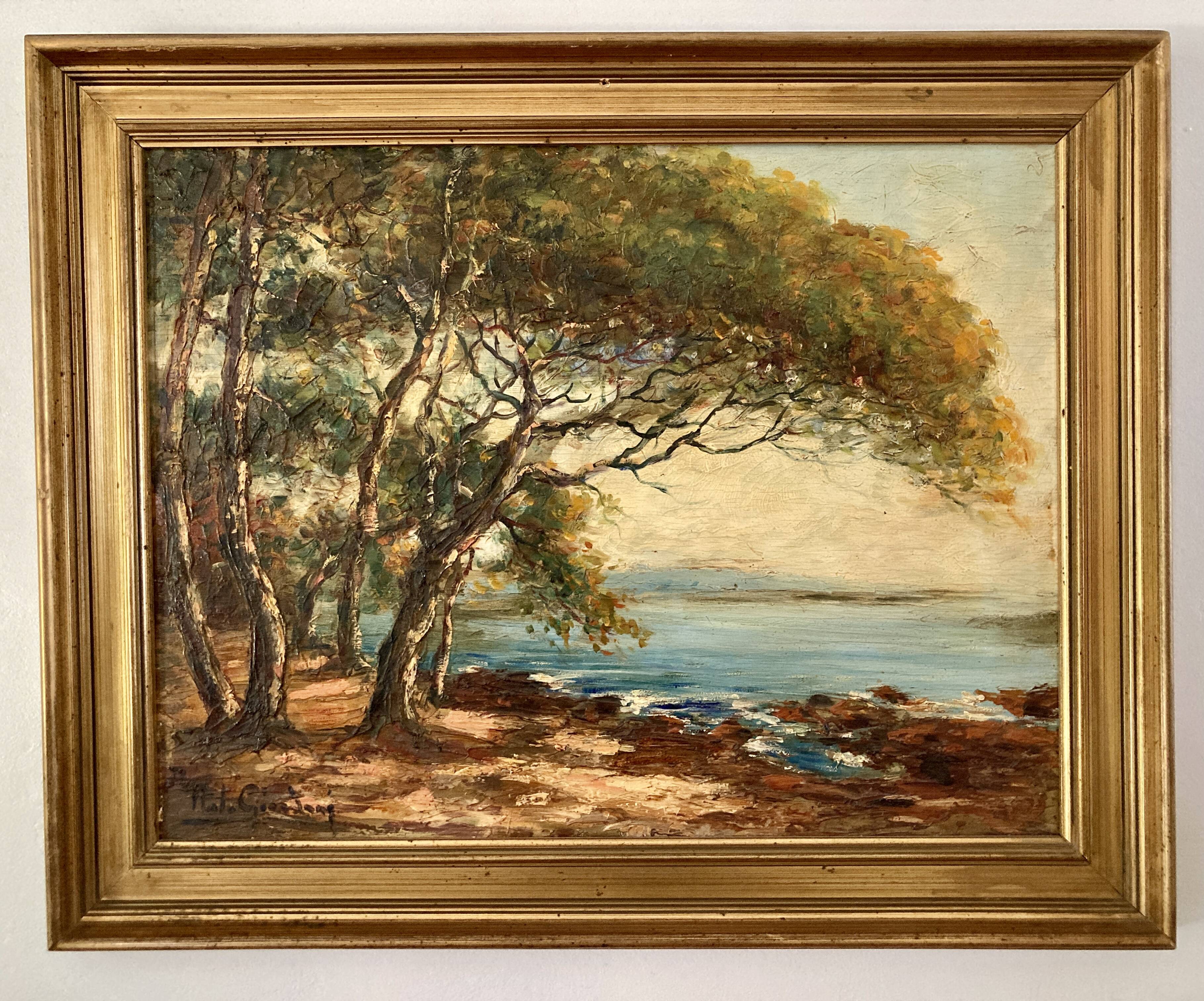 Ancient table - The Mediterranean, the umbrella pines
