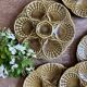 Set of 6 vintage ceramic oyster plates - Sarreguemines -