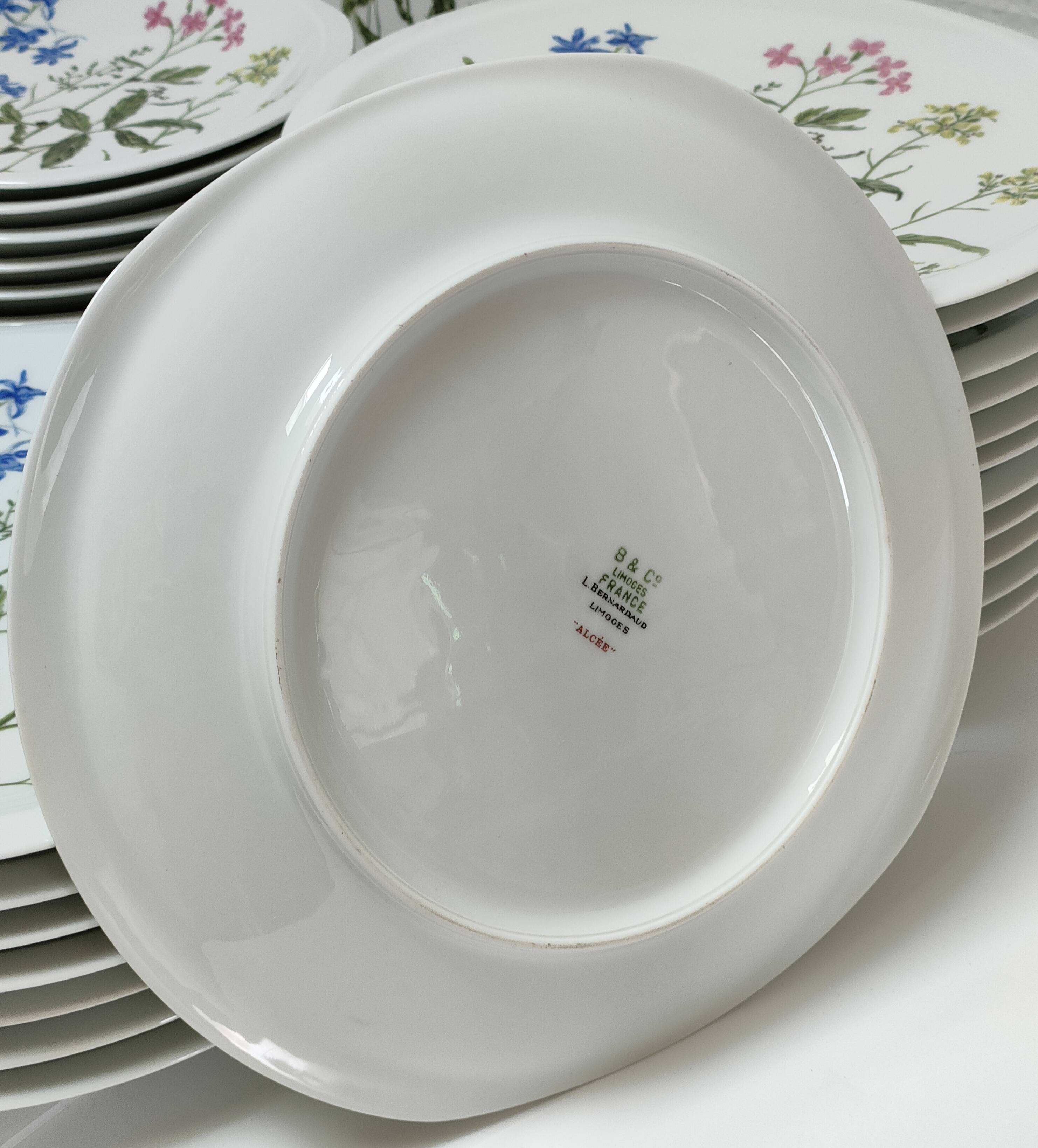 Six flat plates Alcée model porcelain Bernardaud Limoges floral decoration