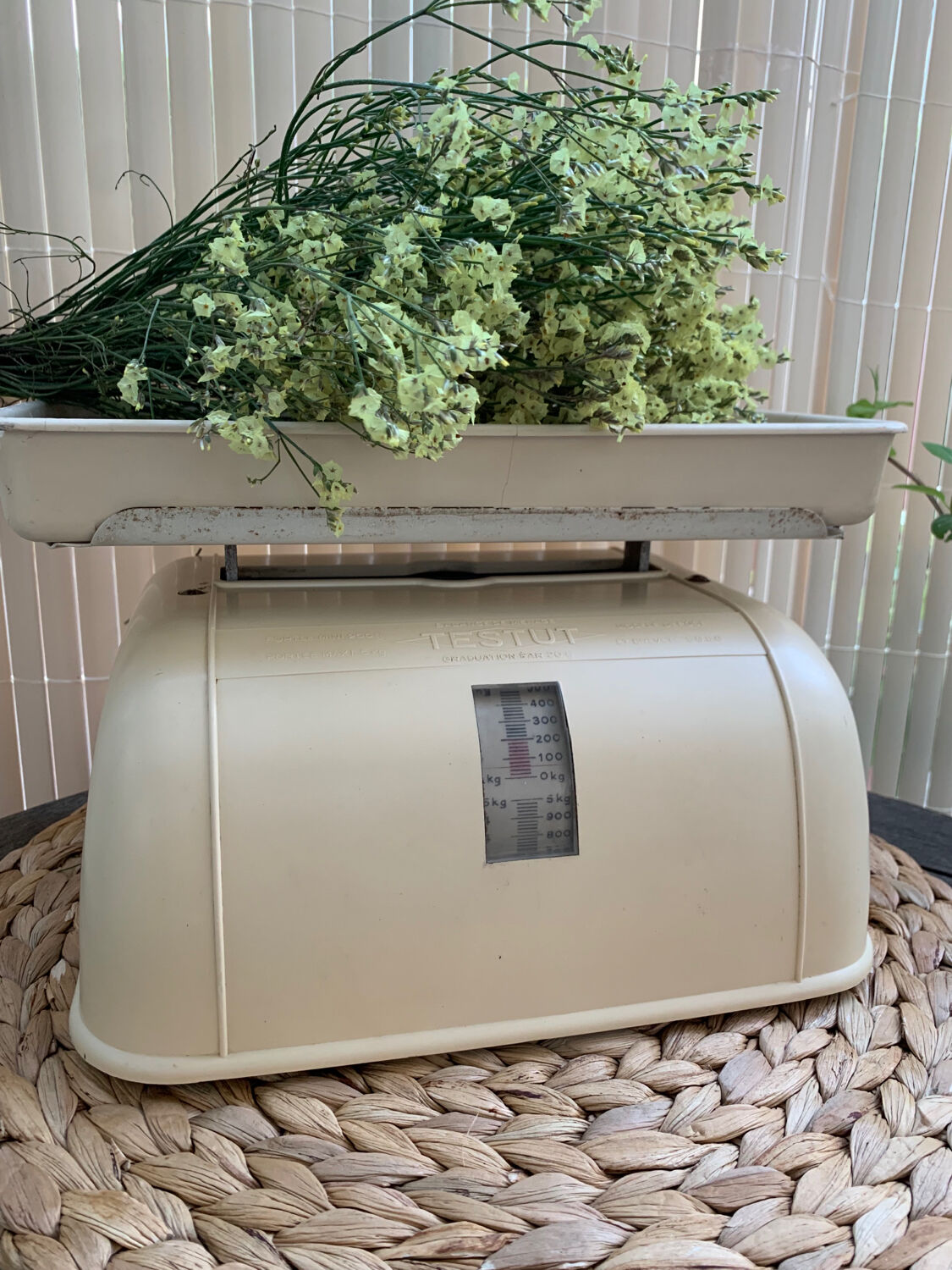 Testut household balance