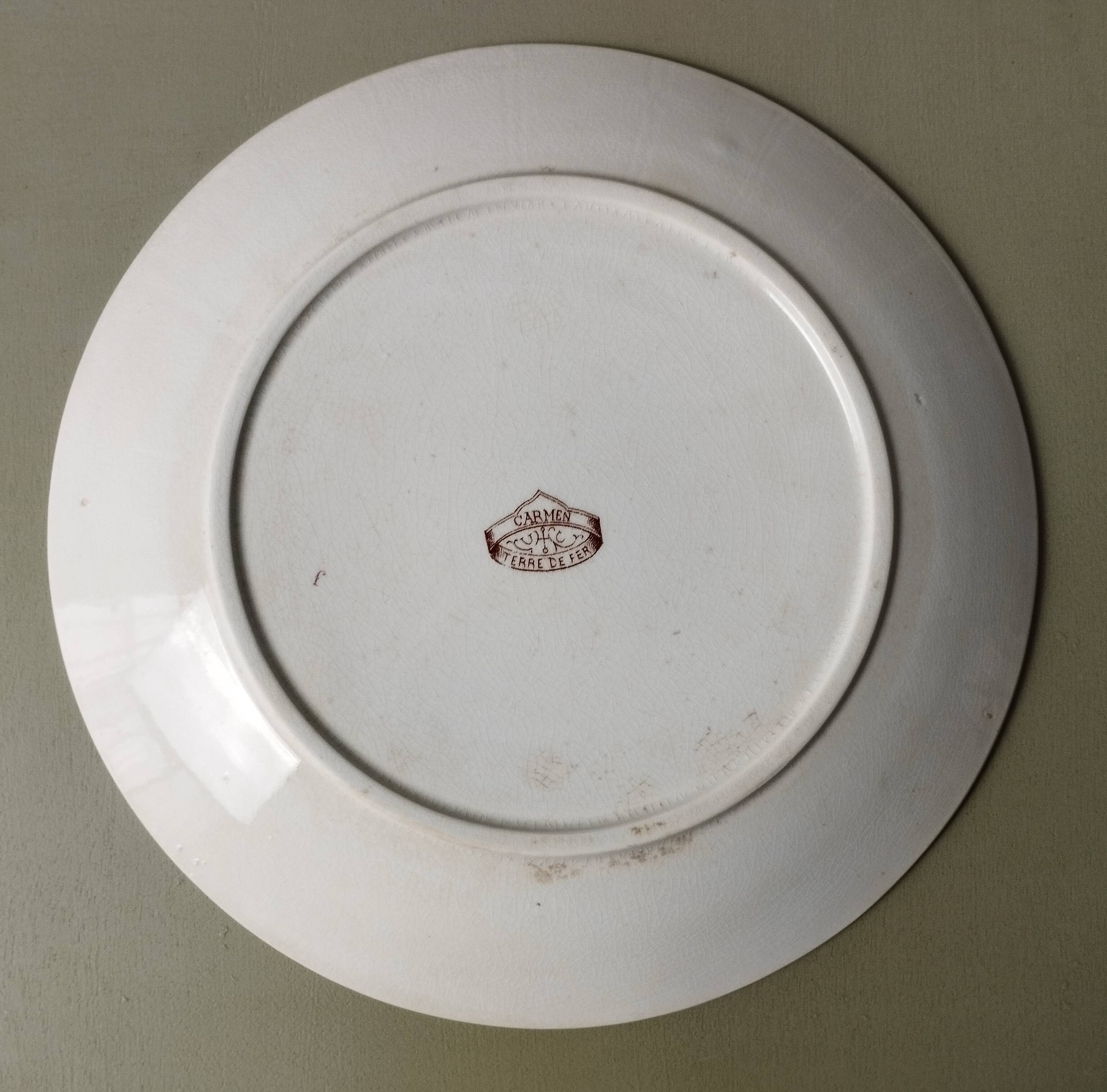 "Carmen" - Set of flat plates Ø 22.5cm ironstone Sarreguemines U&C