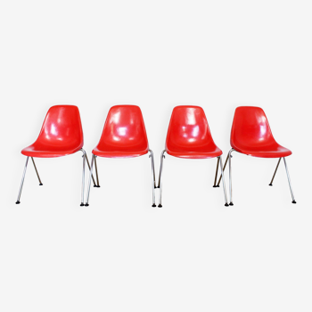 Set of 4 fiberglass chairs stella 1970