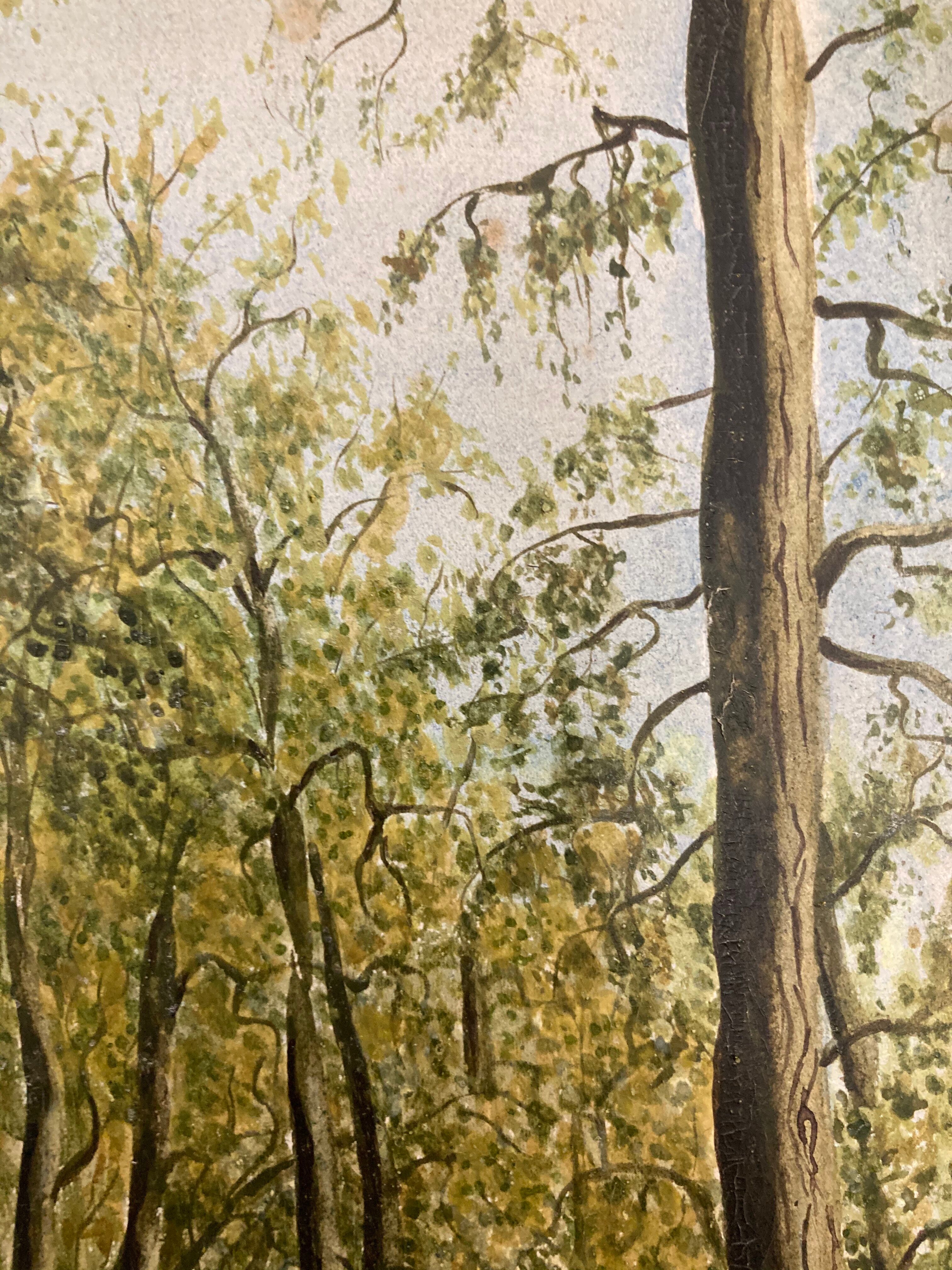 Aquarelle vintage