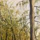 Aquarelle vintage