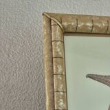 Vintage illustration