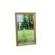 19th Century Beveled Gilded Wood Mirror in Louis XVI Style – 45 x 72 cm