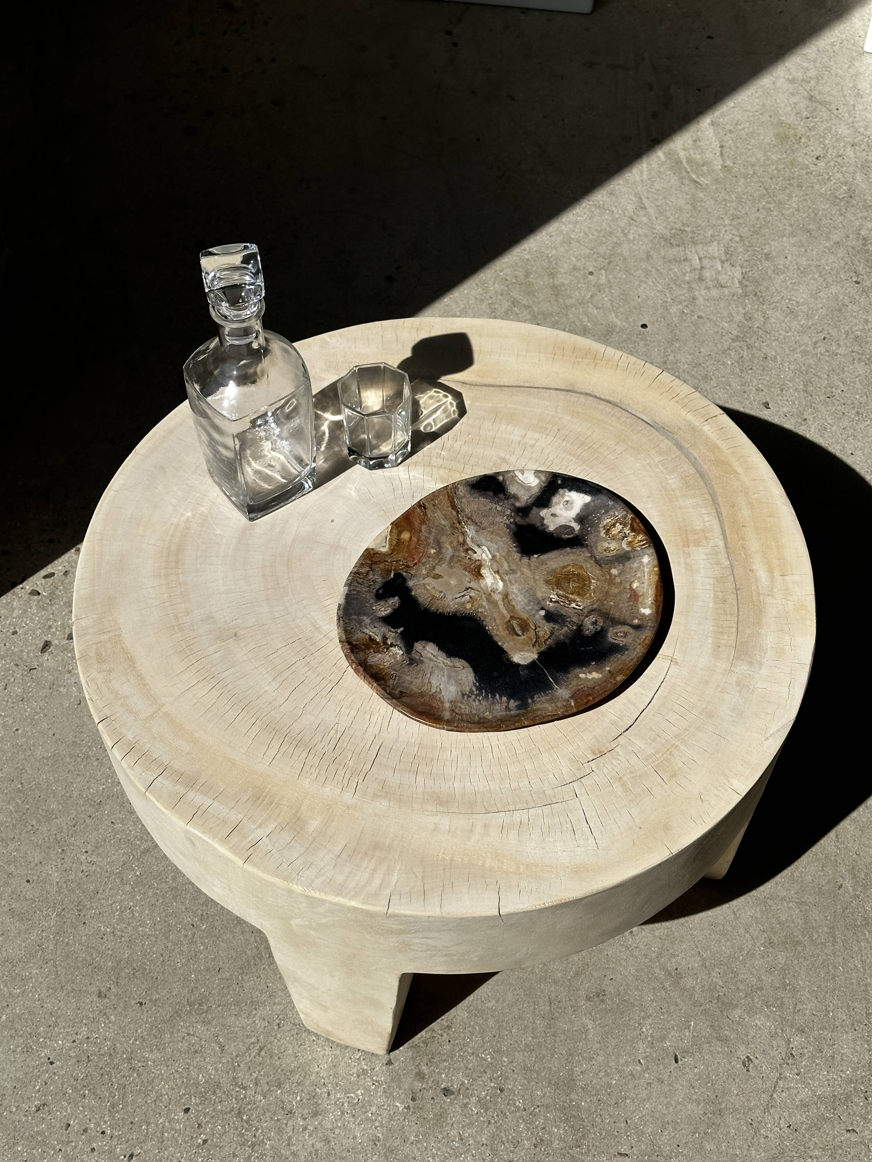 Large empty pocket or dish in petrified wood