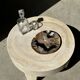 Large empty pocket or dish in petrified wood