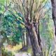 Tableau aquarelle "Sentier en forêt" école du XX° siècle
