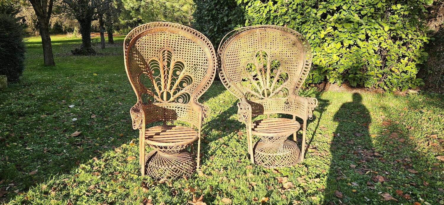 Emmanuelle armchairs
