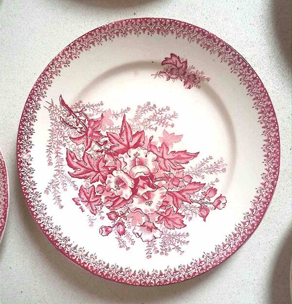 Série de 8 assiettes Terre de Fer motif Eglantines Diamètre 22,5 cm