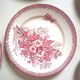 Set of 8 Terre de Fer plates with Eglantines motif, Diameter 22.5 cm