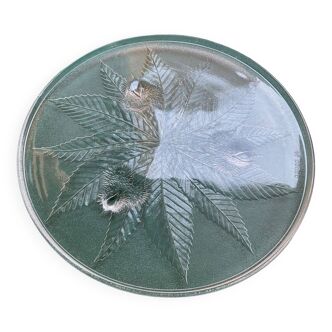 Round dish codec arcopal