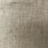 Ancient travel trunk